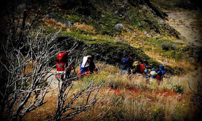 F1d7483145d4c83d8298b755f6999fa4d42805ea