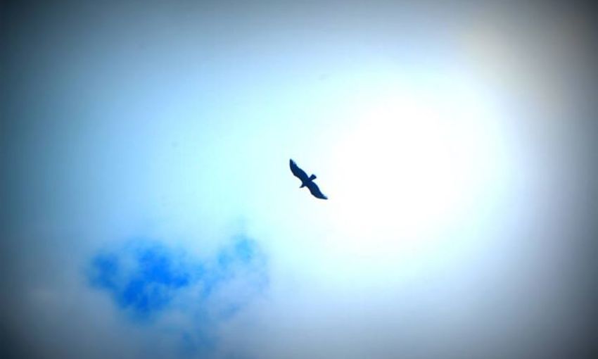 100b506016f299e44f86d8f3ef60c8a340e24158