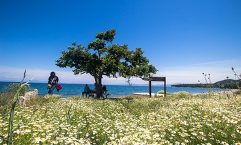 C32a3d7c463082b477608e32341095787d154855