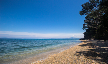 5c7e5fc64ac328f02370b55ad8f553c4599791a9