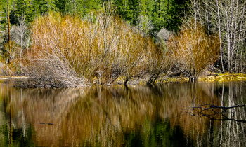 9ea59f9c2642789358efc1caa5c37b7da4621cc5