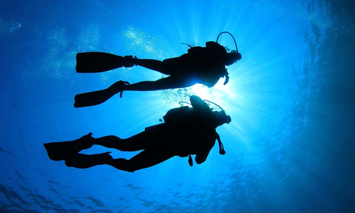 46e74f8caf4cd81580c69a60602c24931496d804