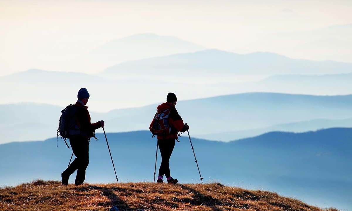 B8778adfff29e98eb87f1cc11e27e3e3933fc7f6